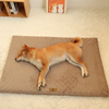 Orthopedic Memory Foam Dog Bed