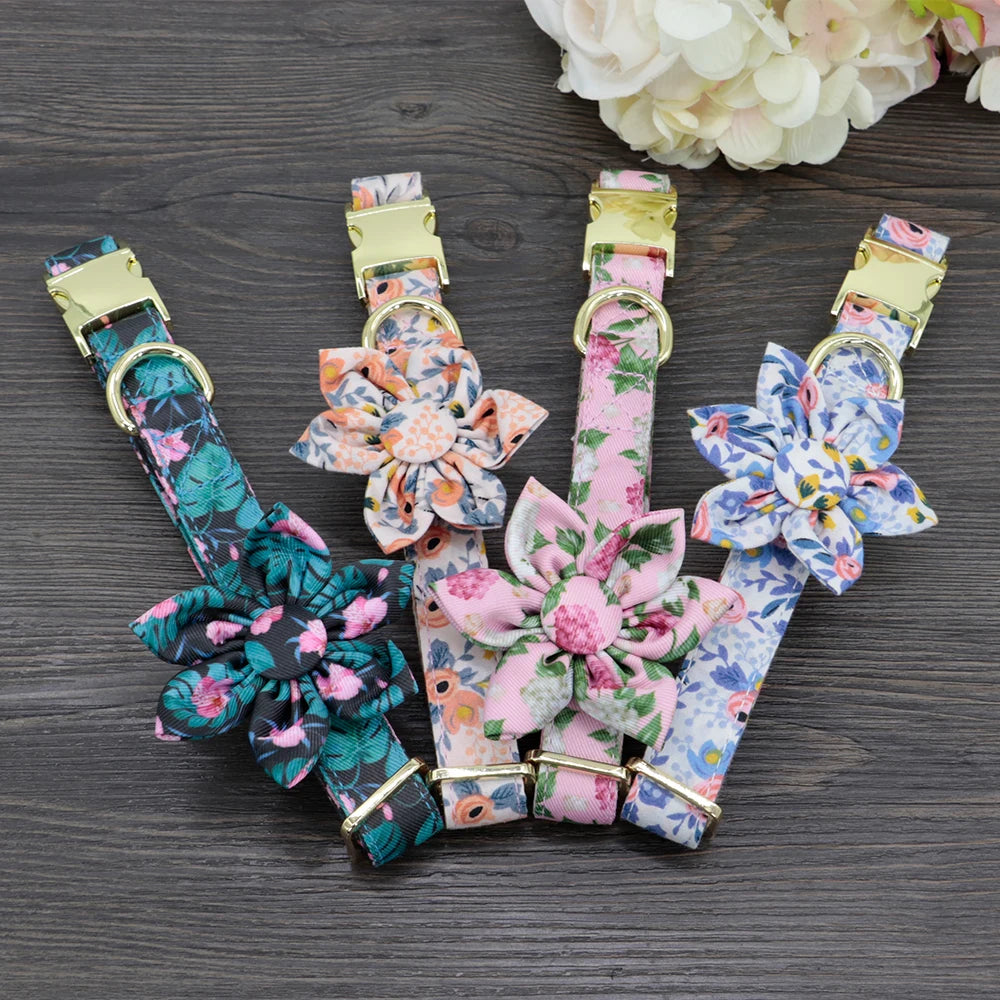 Pet Accessories