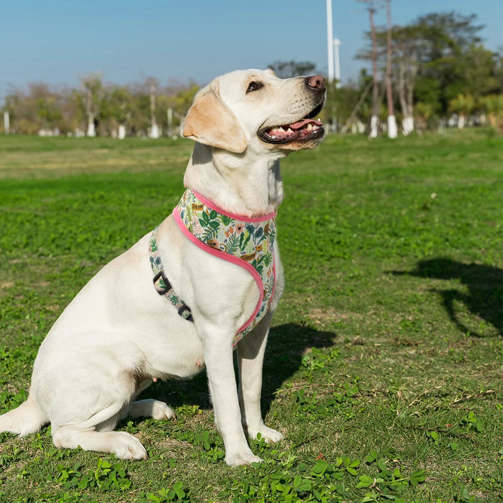 Nylon Printed Harness