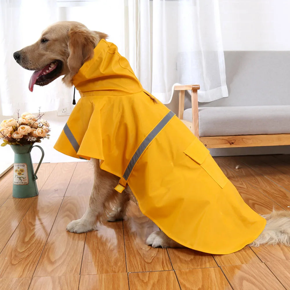 Dog Outfits