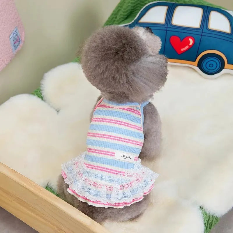 Cute Pet Outfit