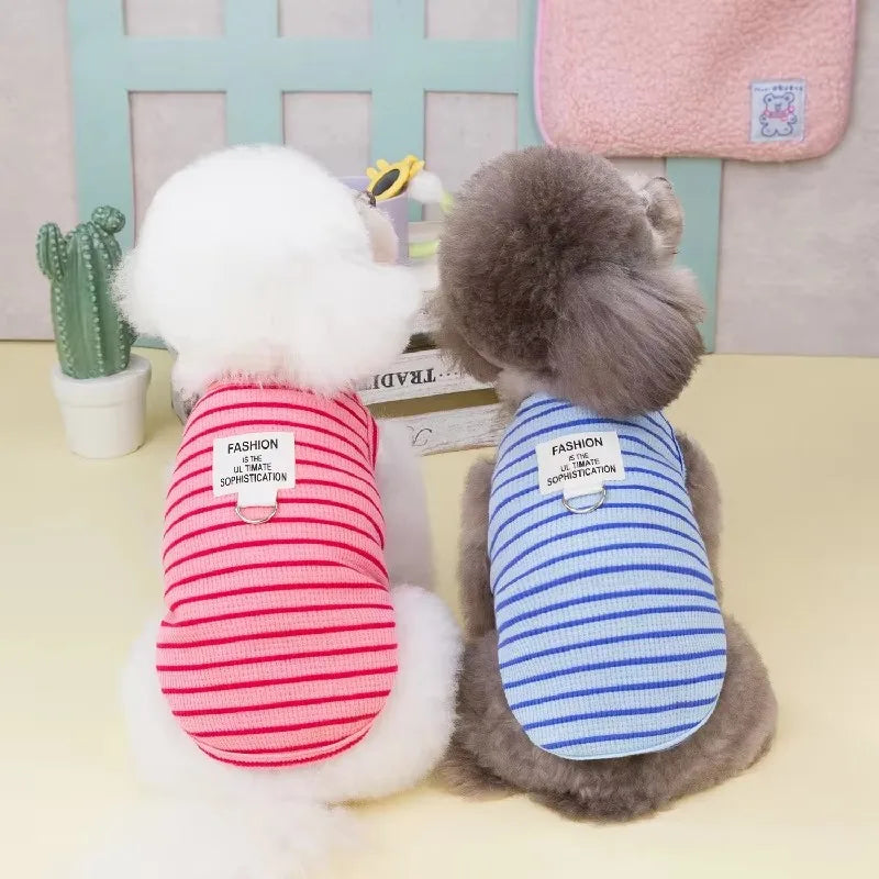 Cute Pet Outfit