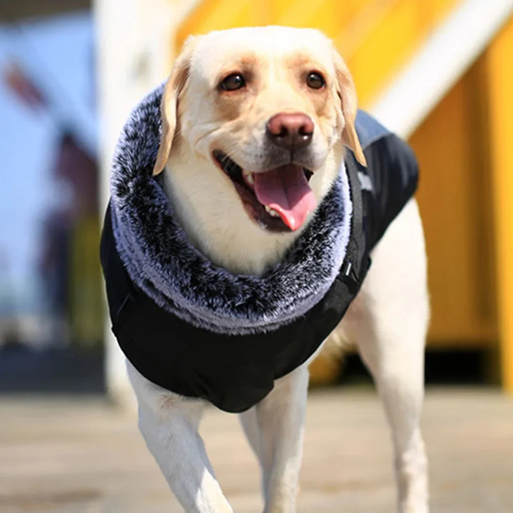 Winter Waterproof Vest