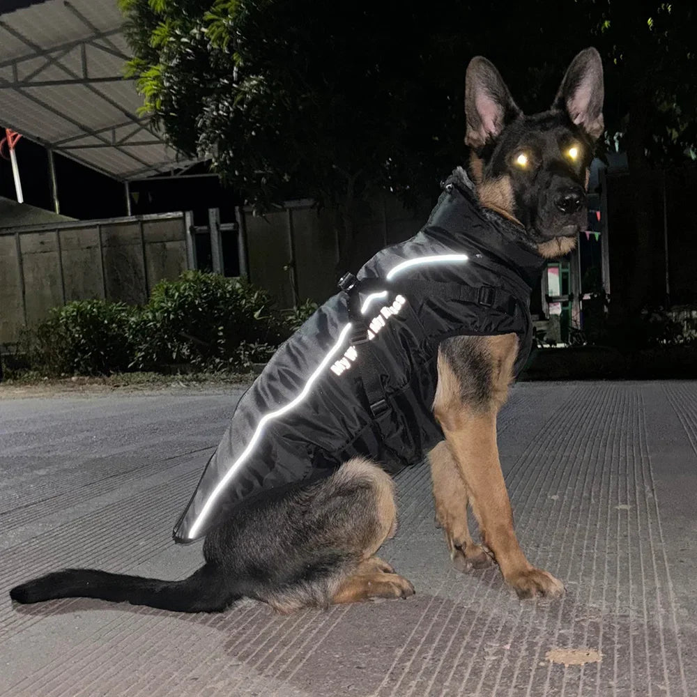 Winter Waterproof Vest