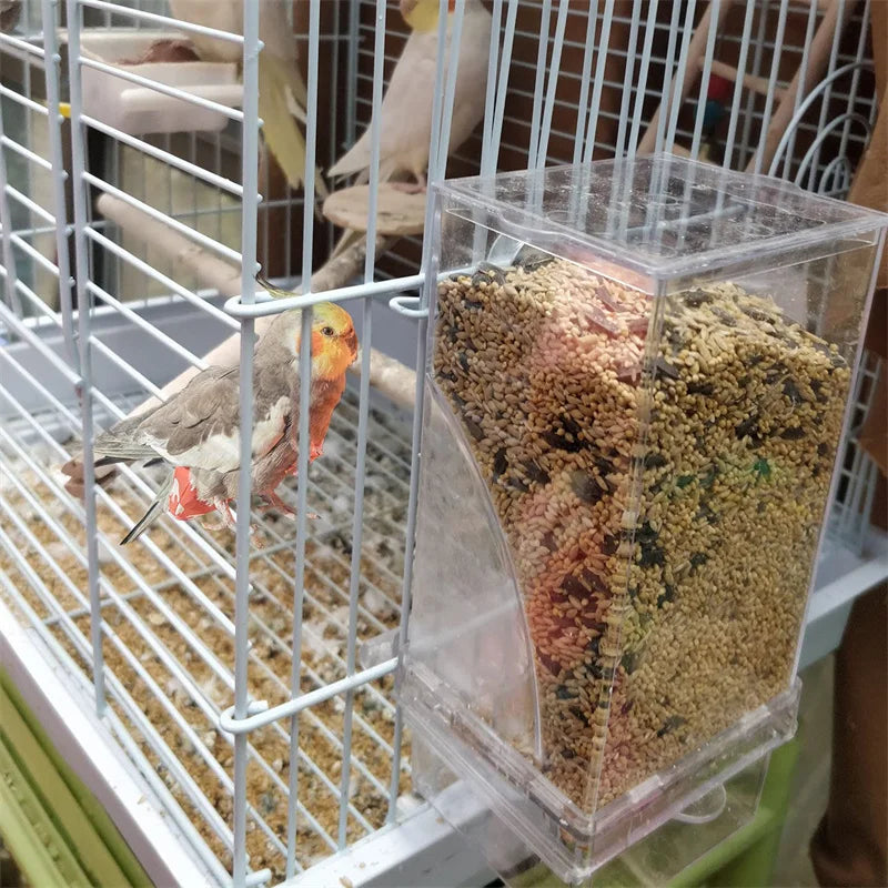 Removable Feeder for Birds